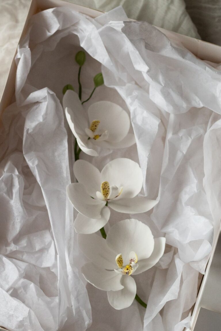 boxed handmade sugar orchids to take home