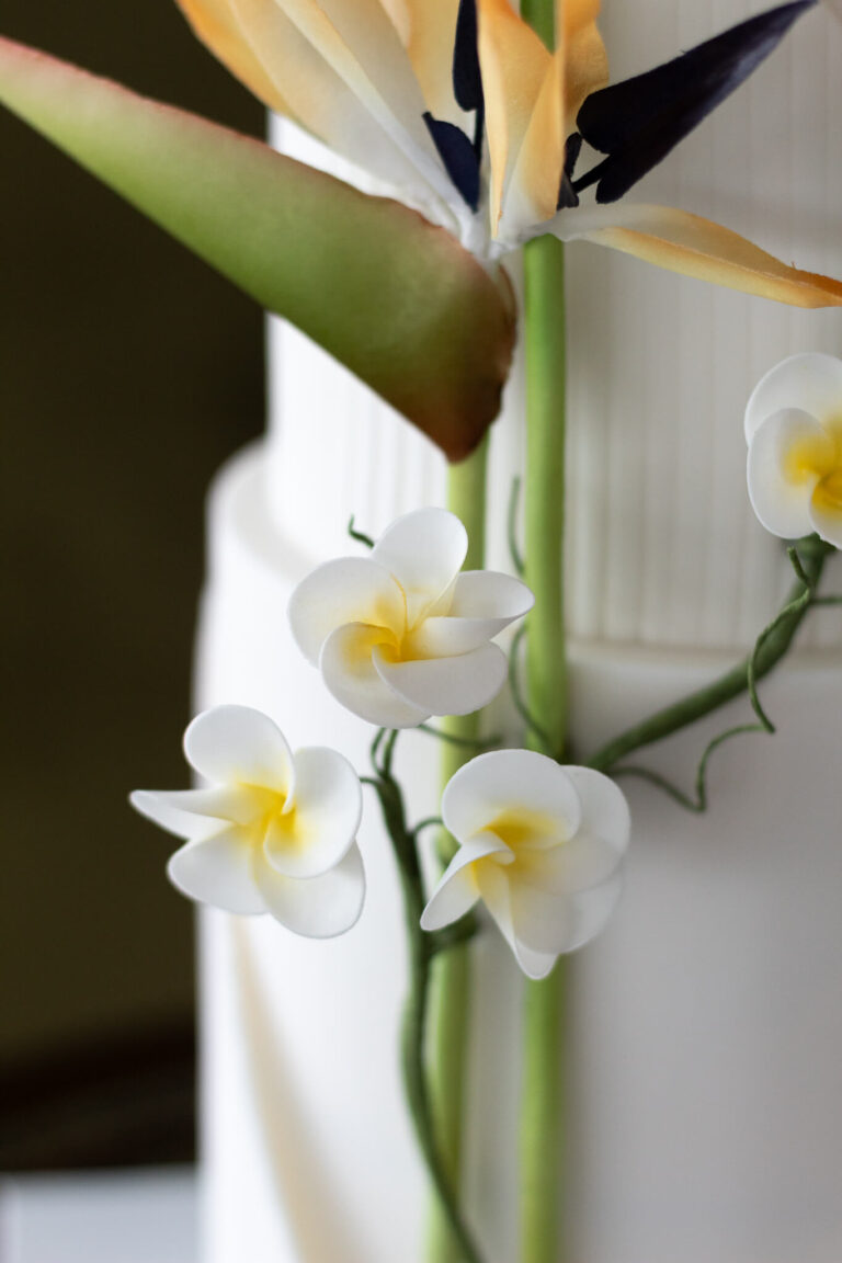 handmade wafer paper bird of paradise and frangipani